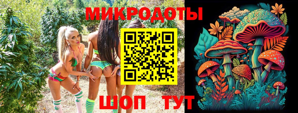 Псилоцибиновые грибы Psilocybe Кимовск